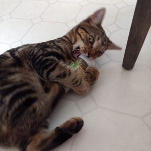 Meet your Posher, Theresa